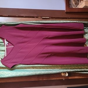 Deep wine a-line Roz & Ali heavy knit dress